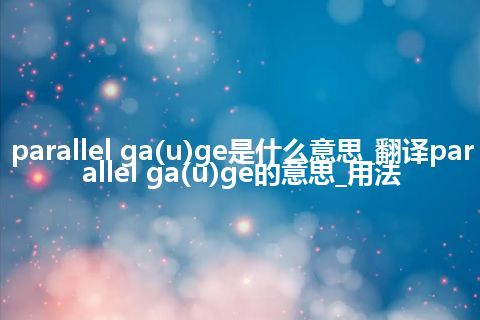 parallel ga(u)ge是什么意思_翻译parallel ga(u)ge的意思_用法