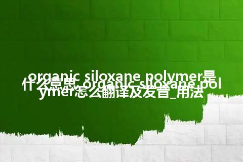 organic siloxane polymer是什么意思_organic siloxane polymer怎么翻译及发音_用法