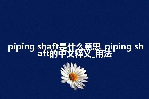 piping shaft是什么意思_piping shaft的中文释义_用法