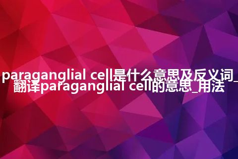 paraganglial cell是什么意思及反义词_翻译paraganglial cell的意思_用法