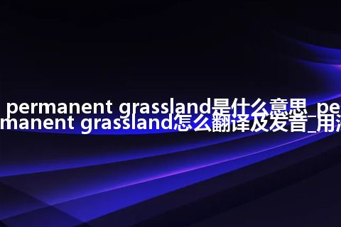 permanent grassland是什么意思_permanent grassland怎么翻译及发音_用法