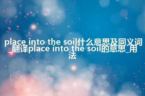 place into the soil什么意思及同义词_翻译place into the soil的意思_用法