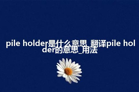 pile holder是什么意思_翻译pile holder的意思_用法
