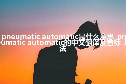 pneumatic automatic是什么意思_pneumatic automatic的中文翻译及音标_用法