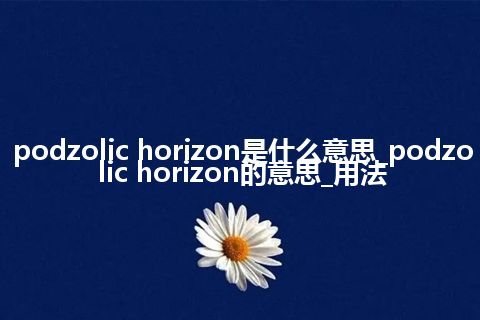 podzolic horizon是什么意思_podzolic horizon的意思_用法