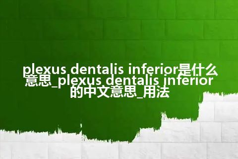 plexus dentalis inferior是什么意思_plexus dentalis inferior的中文意思_用法