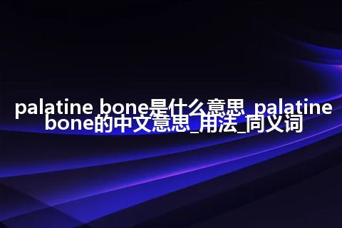 palatine bone是什么意思_palatine bone的中文意思_用法_同义词