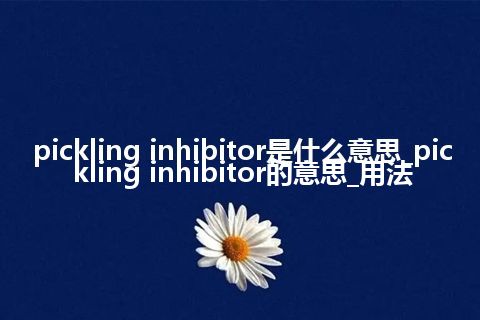 pickling inhibitor是什么意思_pickling inhibitor的意思_用法