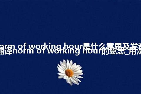 norm of working hour是什么意思及发音_翻译norm of working hour的意思_用法