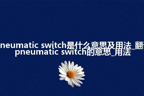pneumatic switch是什么意思及用法_翻译pneumatic switch的意思_用法