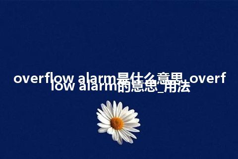 overflow alarm是什么意思_overflow alarm的意思_用法