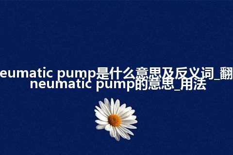 pneumatic pump是什么意思及反义词_翻译pneumatic pump的意思_用法