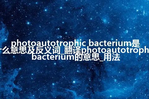 photoautotrophic bacterium是什么意思及反义词_翻译photoautotrophic bacterium的意思_用法