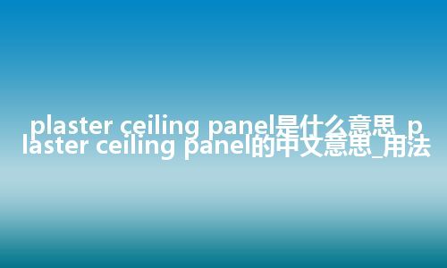 plaster ceiling panel是什么意思_plaster ceiling panel的中文意思_用法
