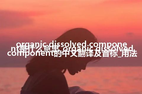 organic dissolved component是什么意思_organic dissolved component的中文翻译及音标_用法