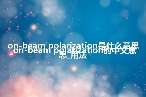 on-beam polarization是什么意思_on-beam polarization的中文意思_用法