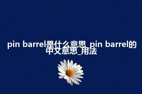 pin barrel是什么意思_pin barrel的中文意思_用法