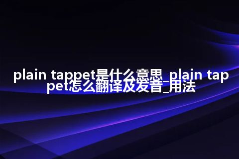 plain tappet是什么意思_plain tappet怎么翻译及发音_用法