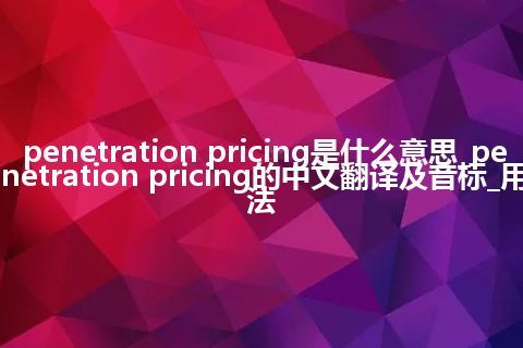 penetration pricing是什么意思_penetration pricing的中文翻译及音标_用法