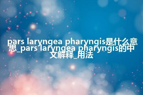 pars laryngea pharyngis是什么意思_pars laryngea pharyngis的中文解释_用法
