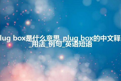 plug box是什么意思_plug box的中文释义_用法_例句_英语短语