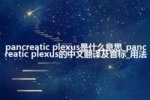 pancreatic plexus是什么意思_pancreatic plexus的中文翻译及音标_用法