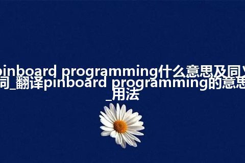 pinboard programming什么意思及同义词_翻译pinboard programming的意思_用法