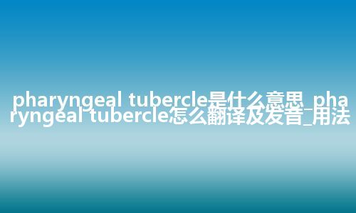 pharyngeal tubercle是什么意思_pharyngeal tubercle怎么翻译及发音_用法
