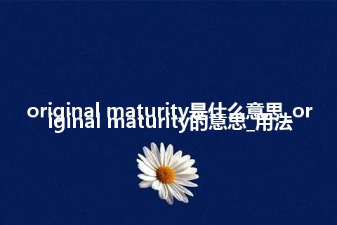 original maturity是什么意思_original maturity的意思_用法