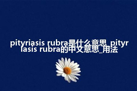 pityriasis rubra是什么意思_pityriasis rubra的中文意思_用法