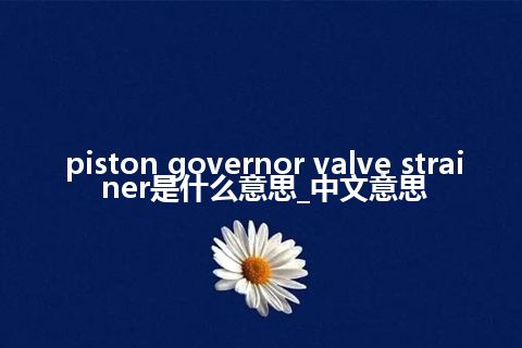 piston governor valve strainer是什么意思_中文意思