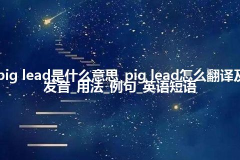 pig lead是什么意思_pig lead怎么翻译及发音_用法_例句_英语短语