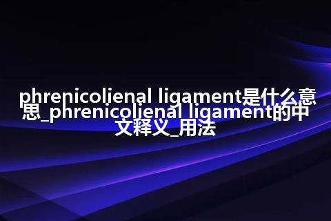 phrenicolienal ligament是什么意思_phrenicolienal ligament的中文释义_用法
