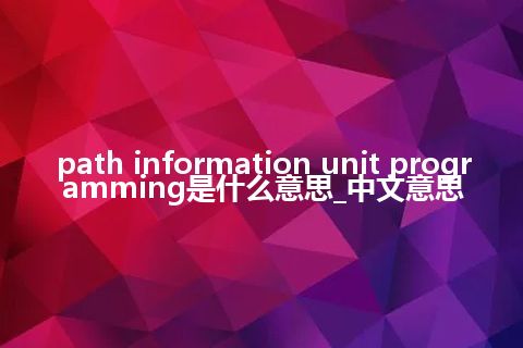 path information unit programming是什么意思_中文意思