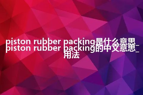 piston rubber packing是什么意思_piston rubber packing的中文意思_用法