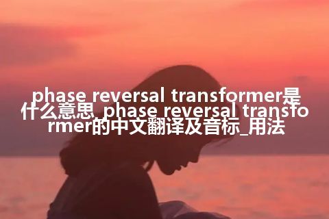 phase reversal transformer是什么意思_phase reversal transformer的中文翻译及音标_用法