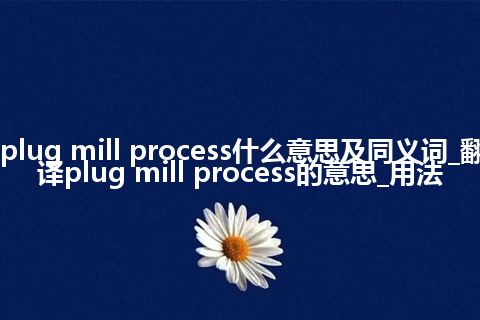 plug mill process什么意思及同义词_翻译plug mill process的意思_用法