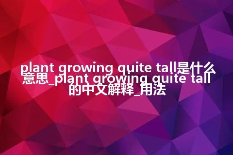 plant growing quite tall是什么意思_plant growing quite tall的中文解释_用法