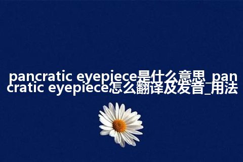 pancratic eyepiece是什么意思_pancratic eyepiece怎么翻译及发音_用法