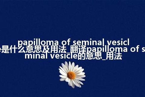 papilloma of seminal vesicle是什么意思及用法_翻译papilloma of seminal vesicle的意思_用法