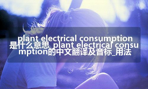 plant electrical consumption是什么意思_plant electrical consumption的中文翻译及音标_用法