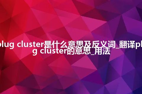 plug cluster是什么意思及反义词_翻译plug cluster的意思_用法