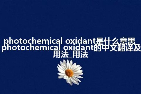 photochemical oxidant是什么意思_photochemical oxidant的中文翻译及用法_用法