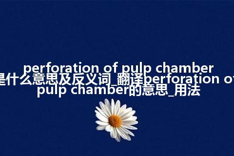 perforation of pulp chamber是什么意思及反义词_翻译perforation of pulp chamber的意思_用法