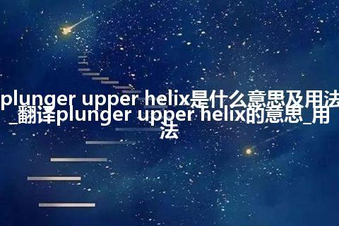 plunger upper helix是什么意思及用法_翻译plunger upper helix的意思_用法