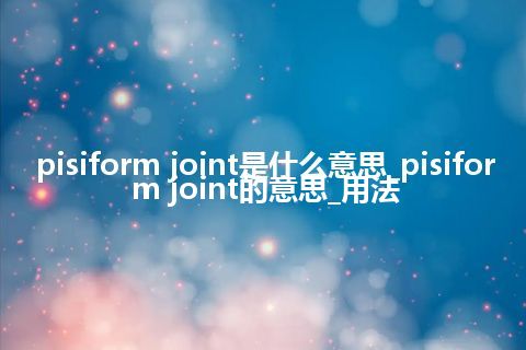 pisiform joint是什么意思_pisiform joint的意思_用法