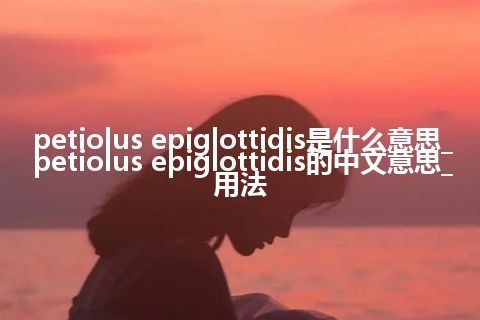 petiolus epiglottidis是什么意思_petiolus epiglottidis的中文意思_用法