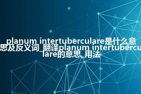 planum intertuberculare是什么意思及反义词_翻译planum intertuberculare的意思_用法