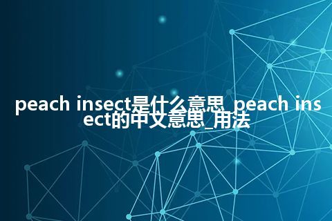 peach insect是什么意思_peach insect的中文意思_用法