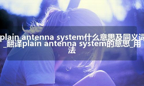 plain antenna system什么意思及同义词_翻译plain antenna system的意思_用法